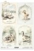 kaczki, kaczuszki, wiejskie zwierzęta, wiosenne klimaty, rustykalny styl*ducks, ducklings, country animals, spring climate, rustic style*Enten, Entenküken, Tiere auf dem Land, Frühlin*patos, patitos, animales de campo, clima primaveral, estilo rústicogskl